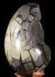 Masive, Septarian Dragon Egg Geode - Black Crystals #64874-2